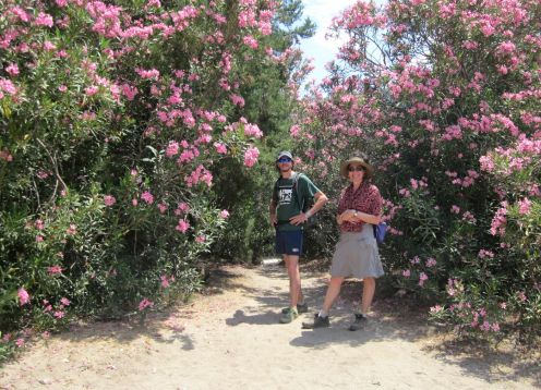 Day 6 oleander forest