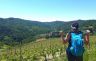 Piedmont Villages and Vineyards Hike