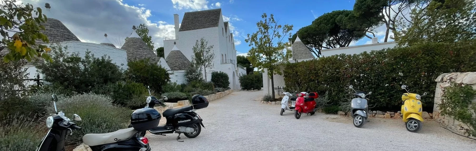 Vespa puglia