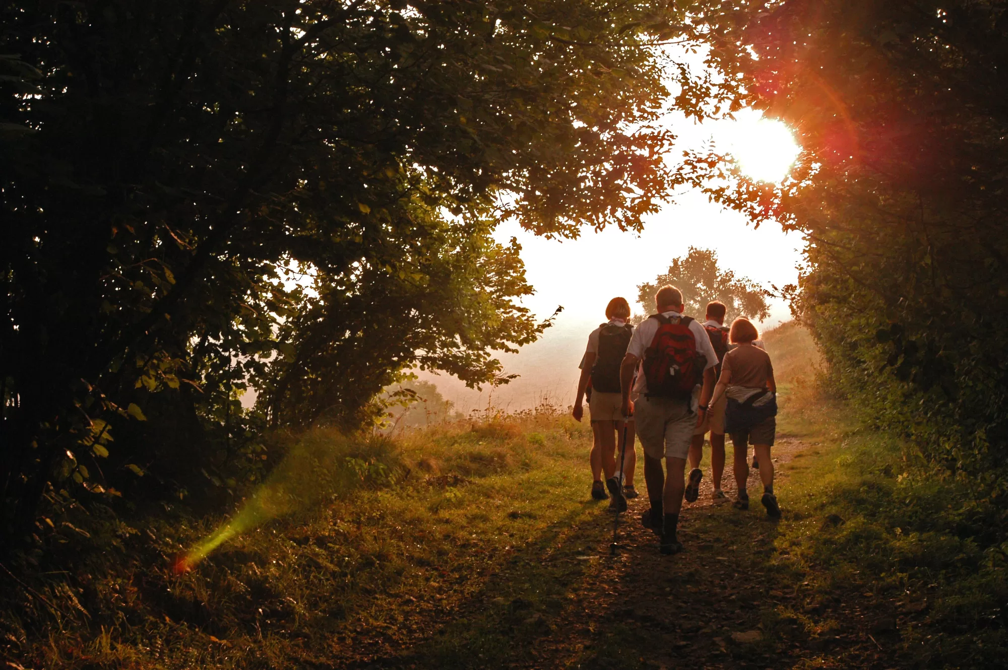 Walking Home brochure shot